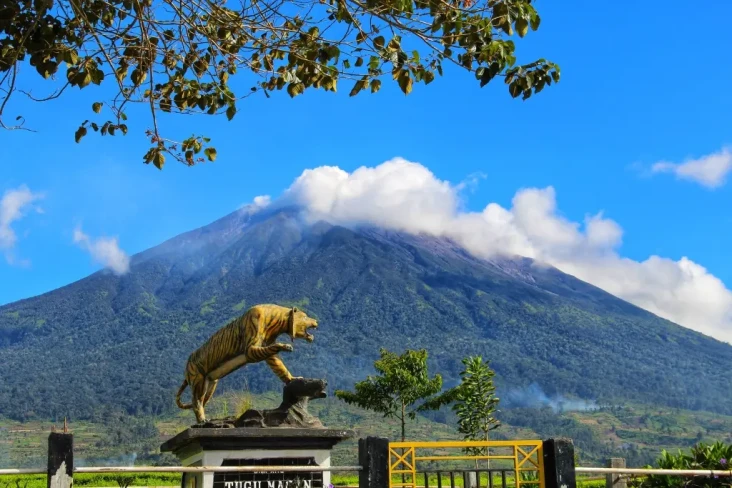 Cigau Bintang Buas Mirip...