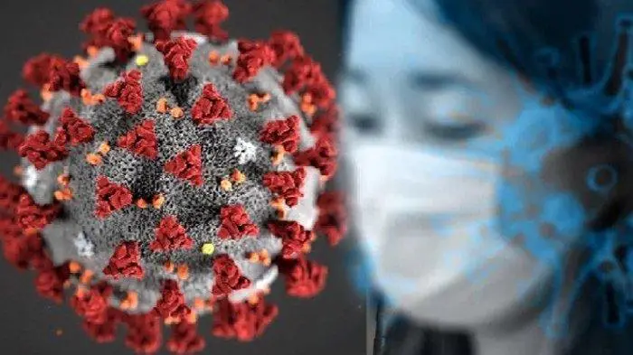 Diserang Virus Misterius,...
