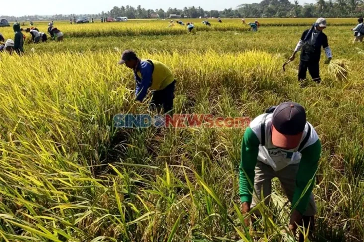 Masyarakat Indonesia...