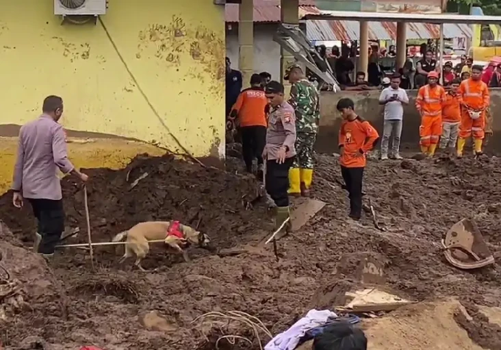 Tim SAR Gabungan Terus...