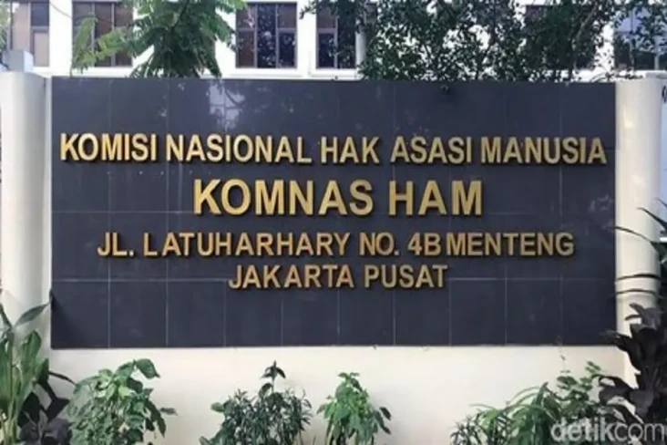 CPNS Komnas HAM 2024,...