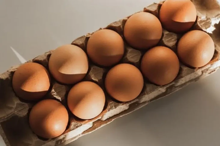Telur Ayam Negeri vs...