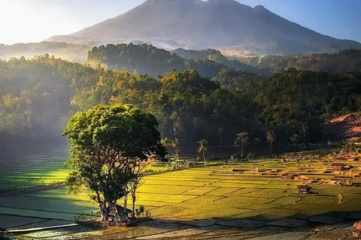 5 Pesona Desa Sembalun...