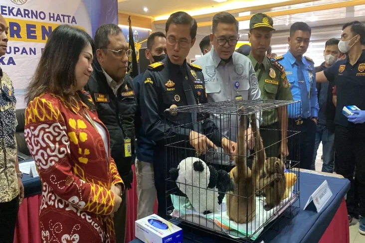 Bea Cukai Bandara Soetta...