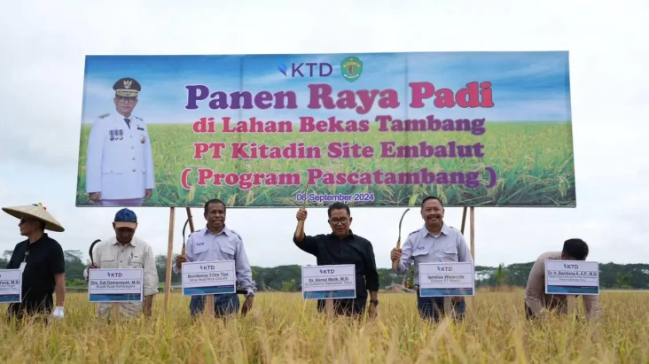 Panen Raya di Lahan...