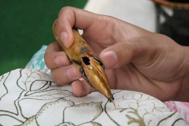 7 Jurusan Kuliah Langka...