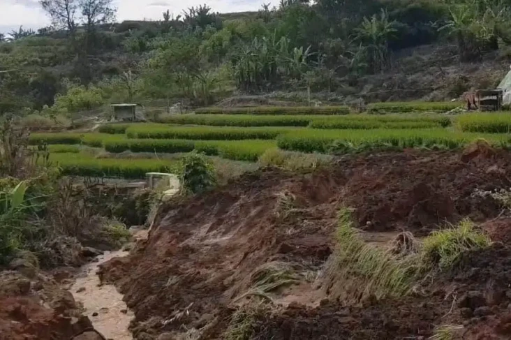 Diguyur Hujan Semalaman,...