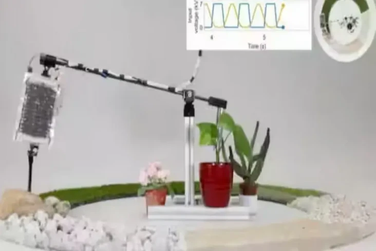Ilmuwan Ciptakan Robot...