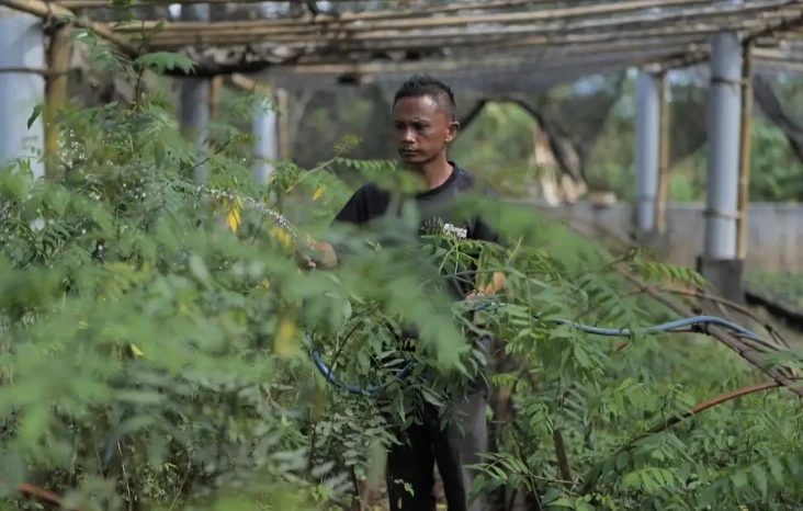PLN Gandeng Kementan...
