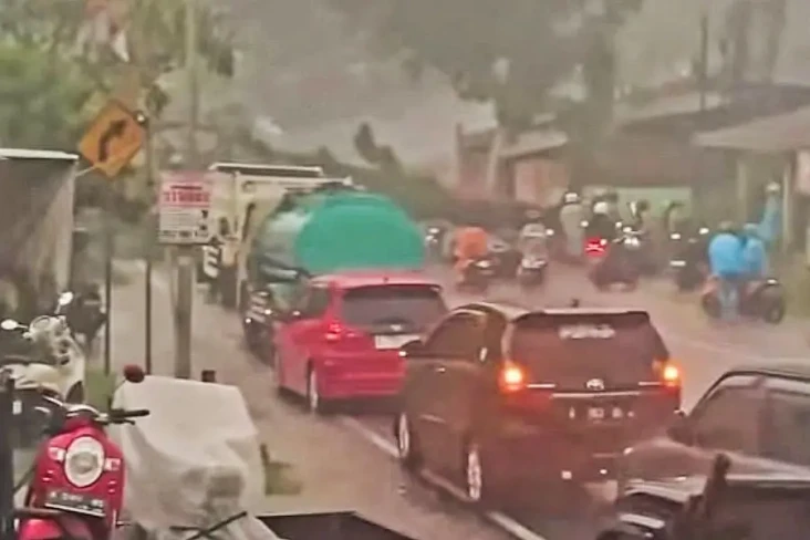 Pohon Tumbang Tutup...