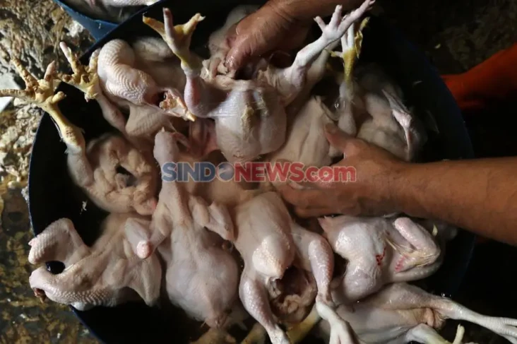 Terungkap 5 Komoditas...