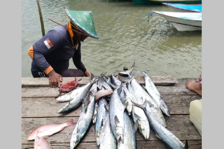 Olah Kakap Putih Jadi...