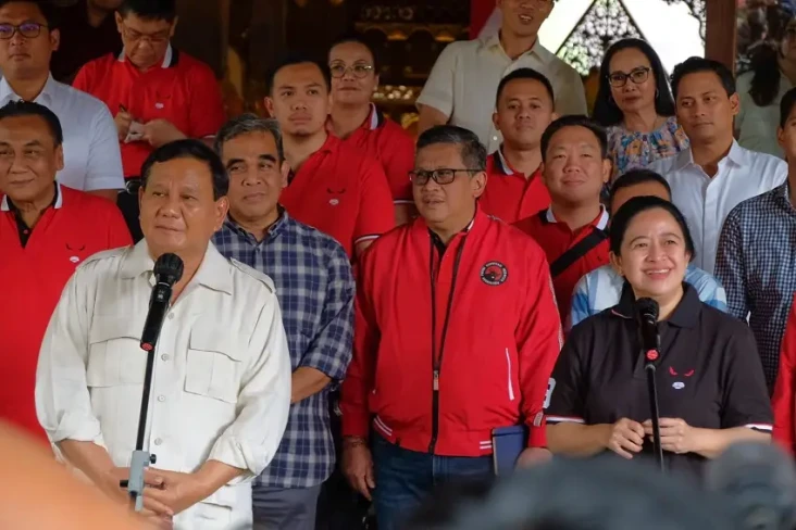 Sebelum Puan Jadi Ketua...