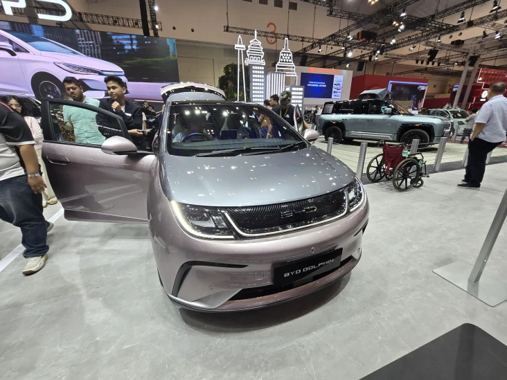 BYD Dolphin Recall di...