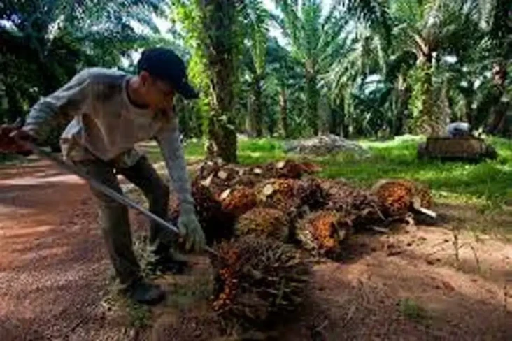 Kebocoran di Industri...