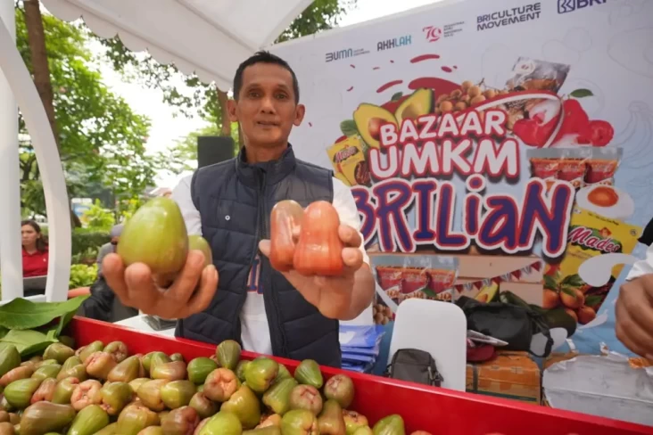 Pengusaha Jambu di Kudus...