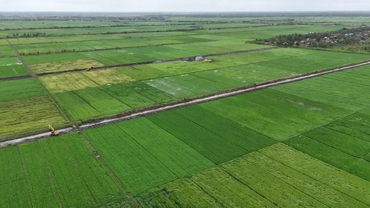 Kementan Jelaskan Produksi...