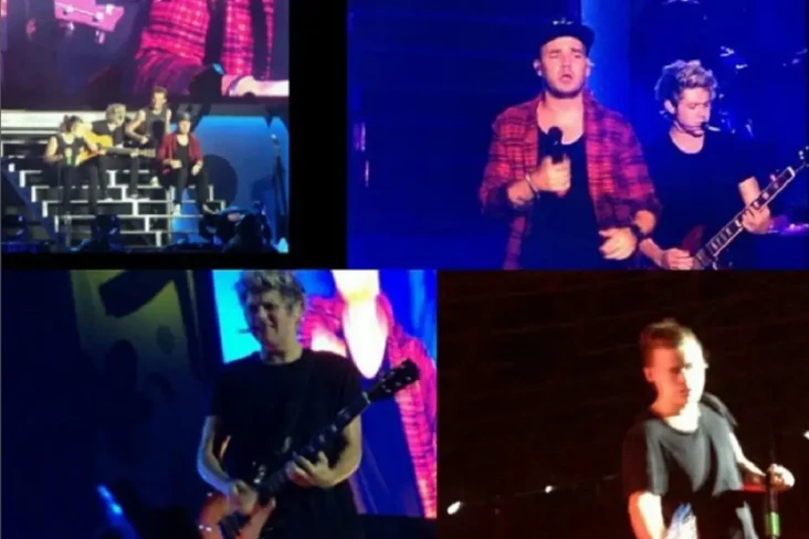 3 Potret Liam Payne...