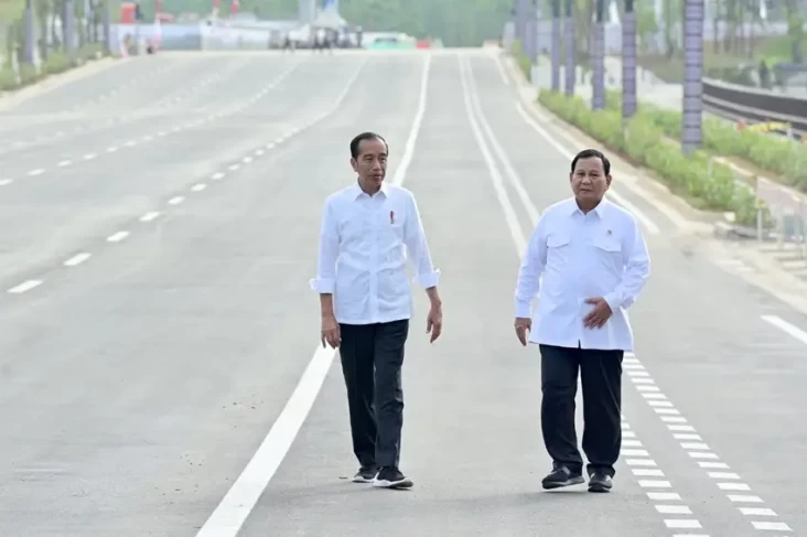 Cawe-Cawe Jokowi Jadi...