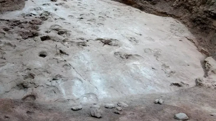 Telur Dinosaurus Terkecil...