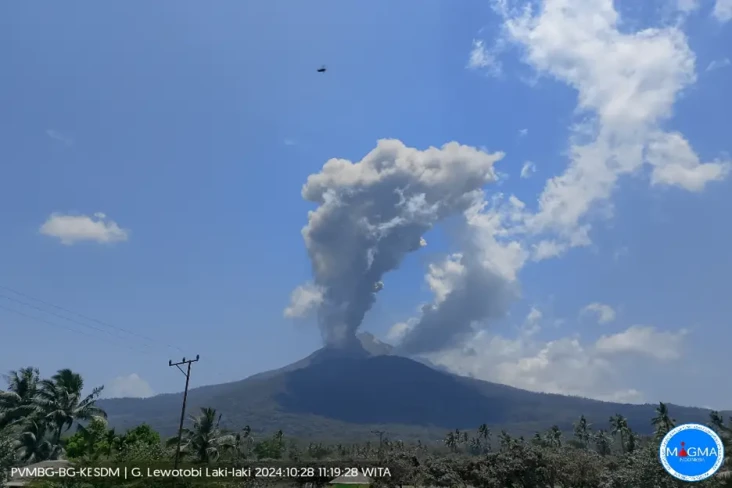 Gunung Lewotobi Laki-laki...