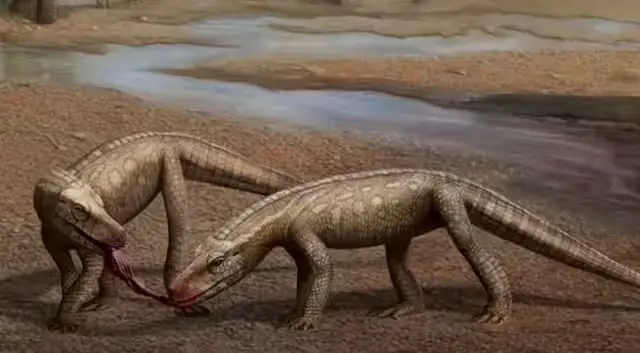 Reptil Purba Mirip Buaya...