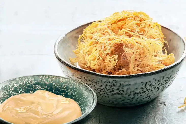 Apa Itu Sea Moss? Tren...