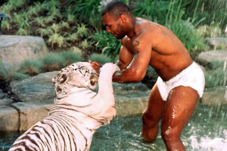 Mike Tyson dan Harimau...