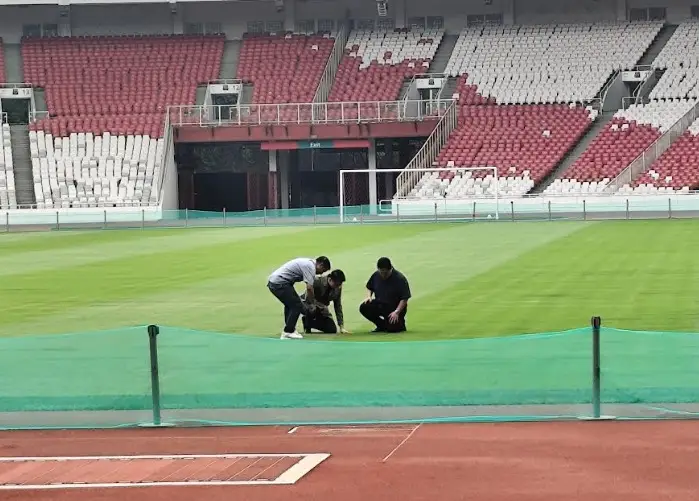 Bagaimana Kondisi Rumput...