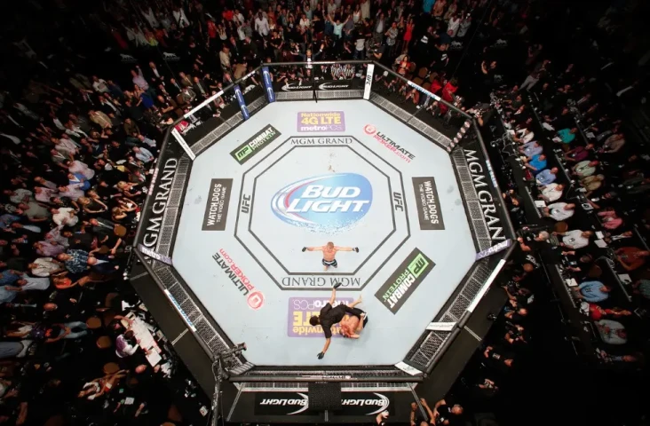 Mengenal Octagon: Arena...