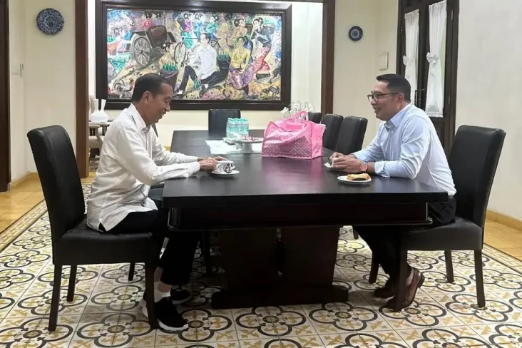 Viral Video Jokowi Dukung...