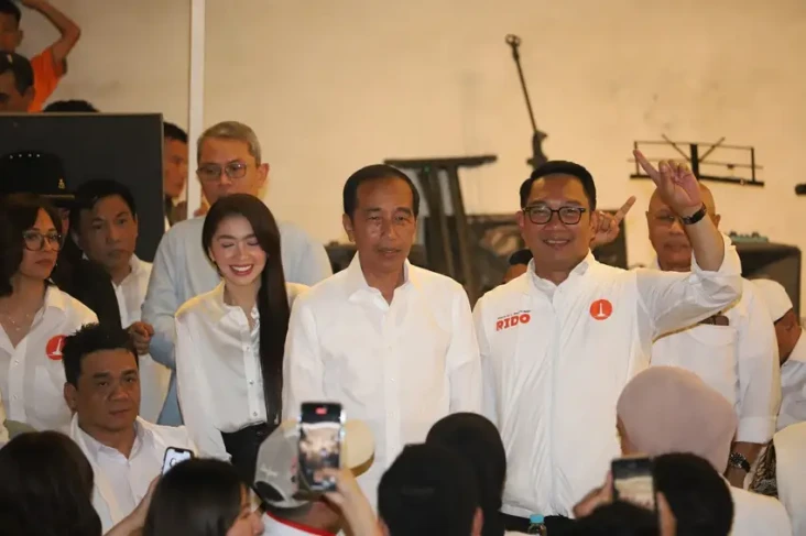 Didukung Jokowi, Ridwan...