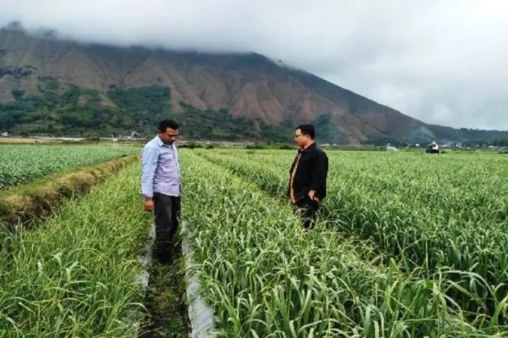 Kementan Dorong Lombok...