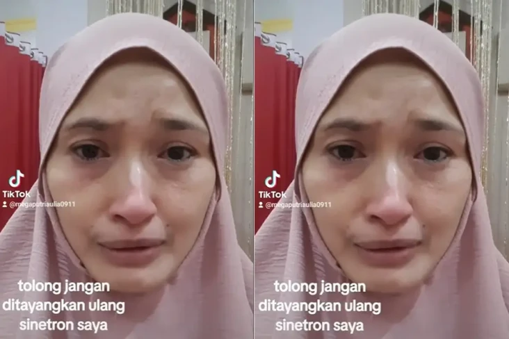Profil Mega Aulia, Mantan...