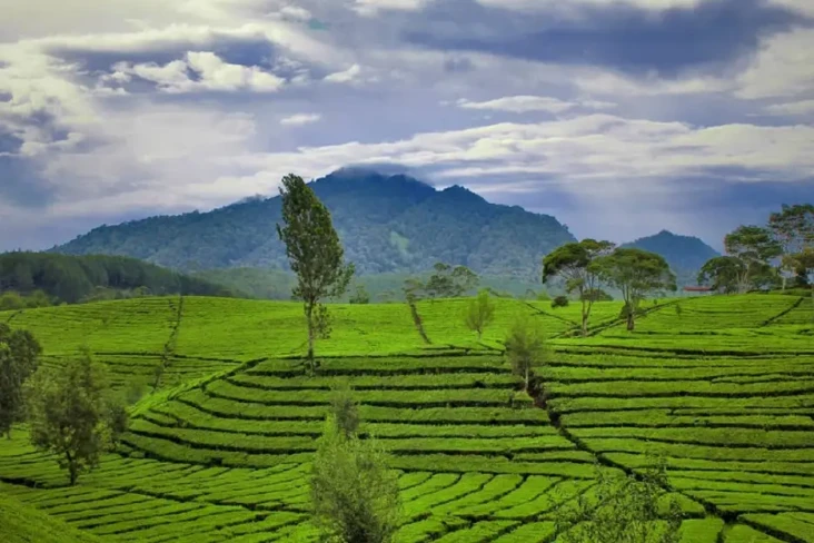 15 Destinasi Wisata...