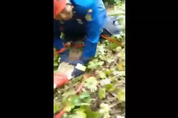 Buaya Sepanjang 2 Meter...