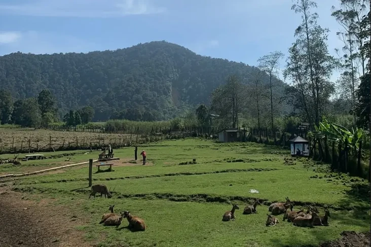 8 Rekomendasi Tempat...