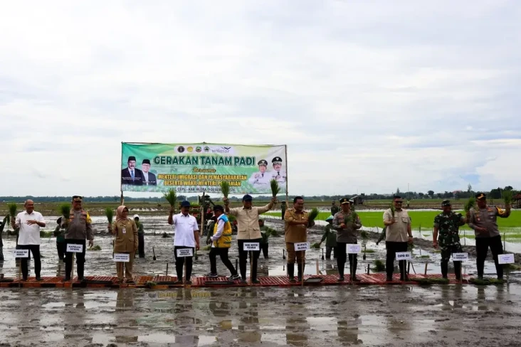 Swasembada Pangan, Sinergi...