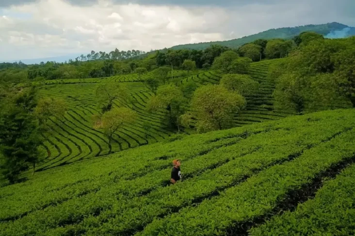 10 Rekomendasi Tempat...