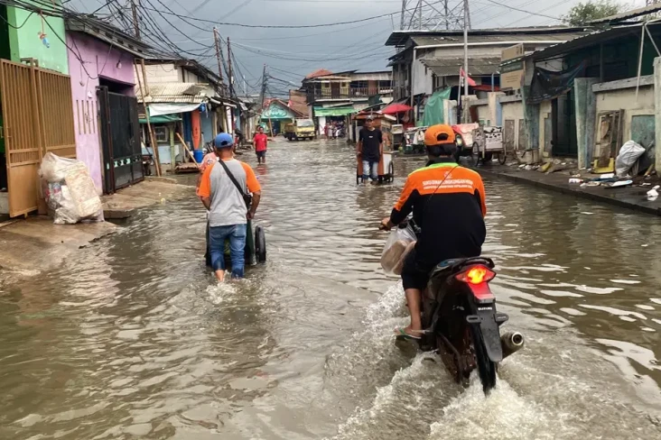 Sempat Setinggi 40 Cm,...