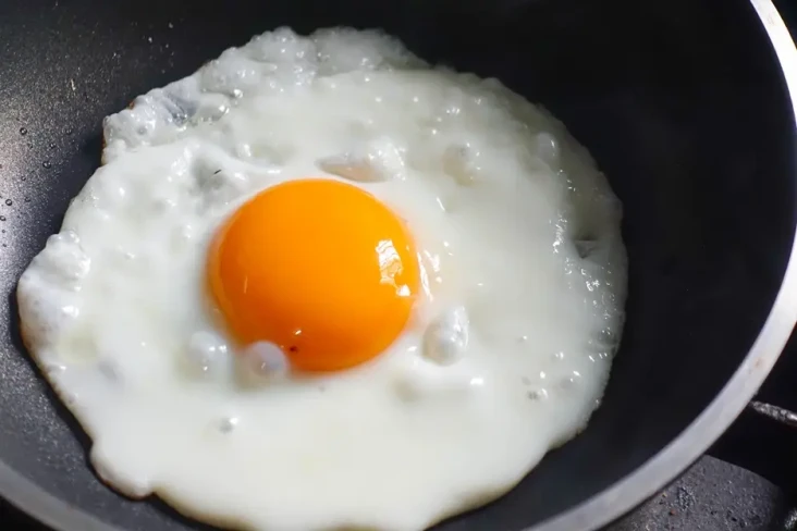 Apakah Kuning Telur...