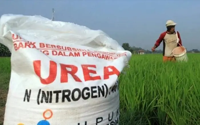 Pupuk Subsidi Bisa Ditebus...