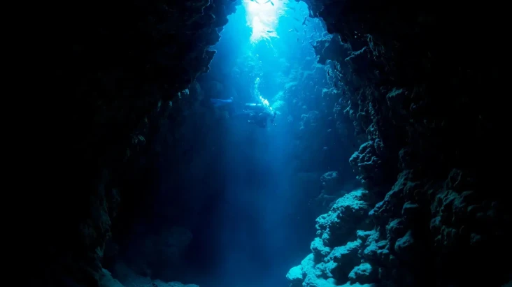 Penemuan Predator Laut...