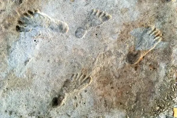 Jejak Kaki Berusia 13.000...