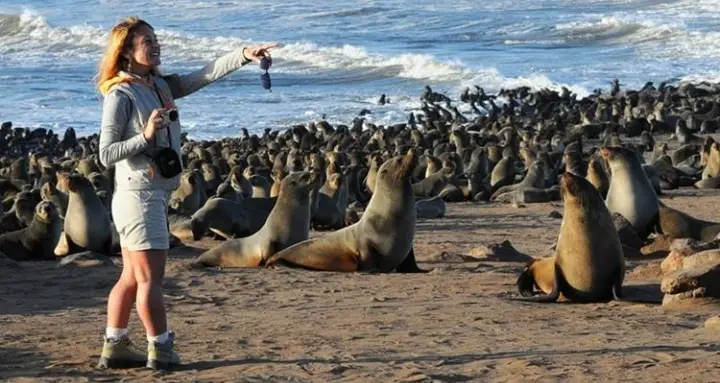 Populasi Anjing Laut...