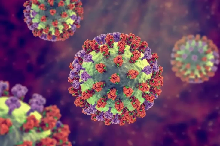 3 Persamaan Influenza...