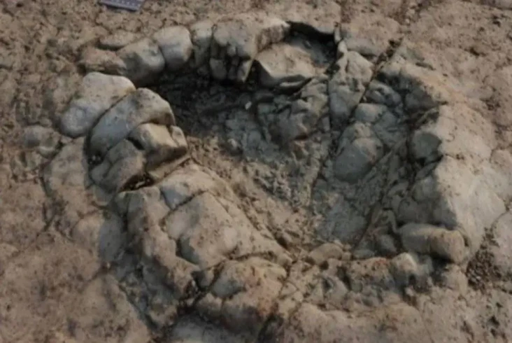 Jejak Kaki Dinosaurus...