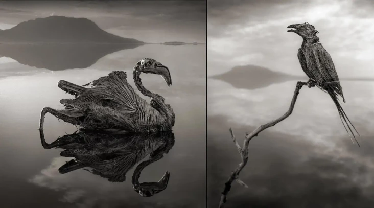 Mitos Danau Natron di...