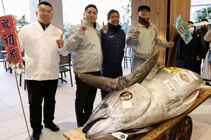Ikan Tuna Seukuran Sepeda...