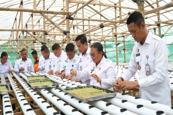 Wujudkan Ketahanan Pangan,...